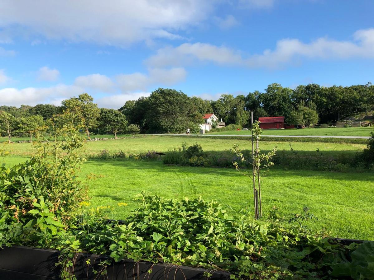 Mysig Nybyggd Stuga Naera Hav Och Natur Klovedal Esterno foto