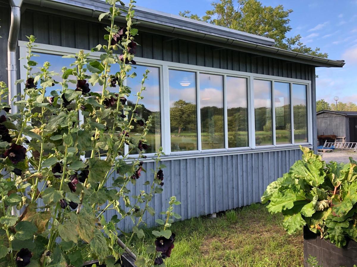 Mysig Nybyggd Stuga Naera Hav Och Natur Klovedal Esterno foto